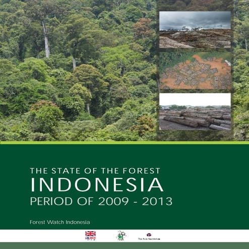 State of-the-forest-report-2009-2013 | PDF