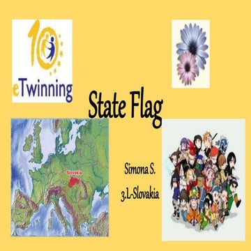State flag 1