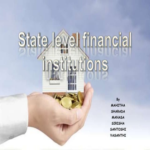 State level financial institutions