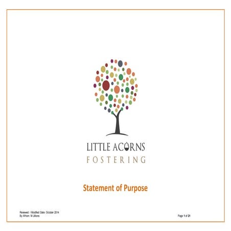 Types of foster carer placement.pdf copy | PDF