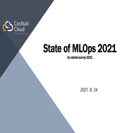 State of MLOps 2021 valohai survey_요약정리