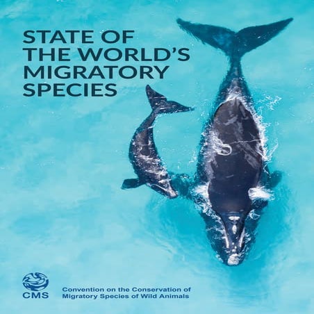 UN Report: State of the Worlds Migratory Species report_E.pdf