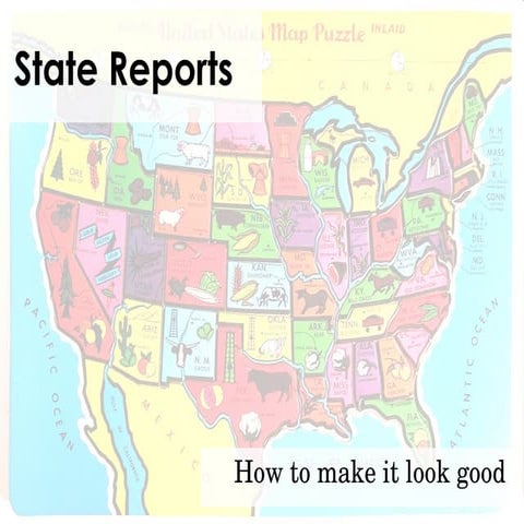 State Report Instuctions