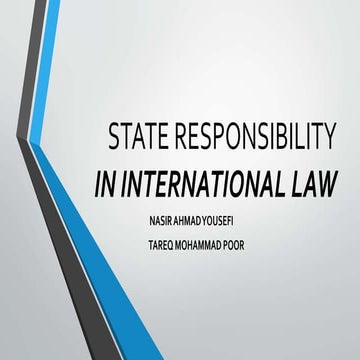 State responsibility in international law