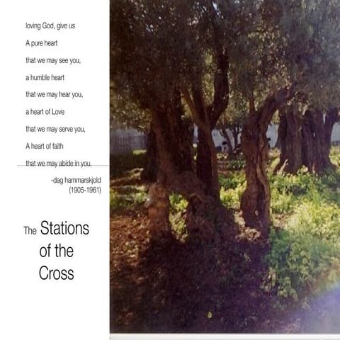 Stations Of The Cross 2010 