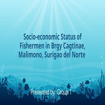 Socio-economic Status of Fishermen in Barangay Cagtinae, Malimono, Surigao del Norte