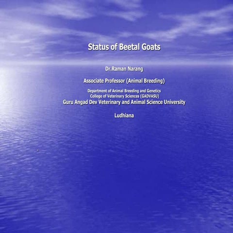 Status of Beetal Goats in Punjab.ppt