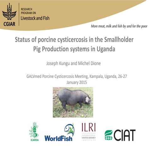 Status of porcine cysticercosis in the smallholder pig production systems in ...