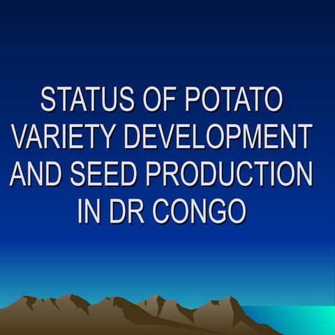 Status of potato in dr congo