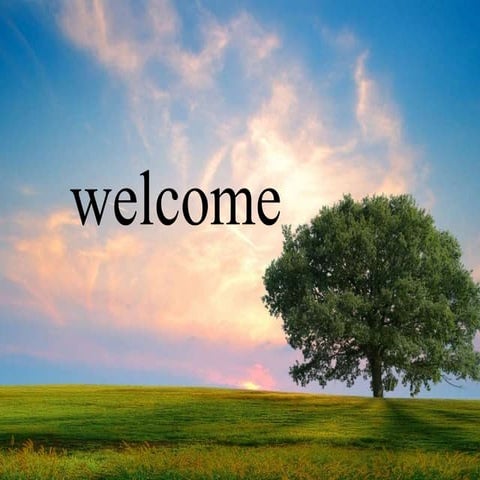 Status of transgenic crops