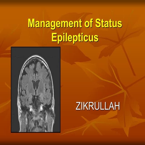 Status epilepticus management treatment 