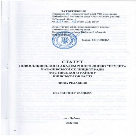Статут Новосілківського академічного ліцею Ерудит