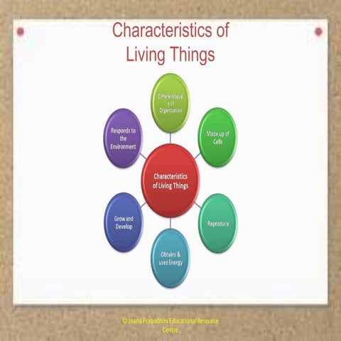 Characteristics of Living Things