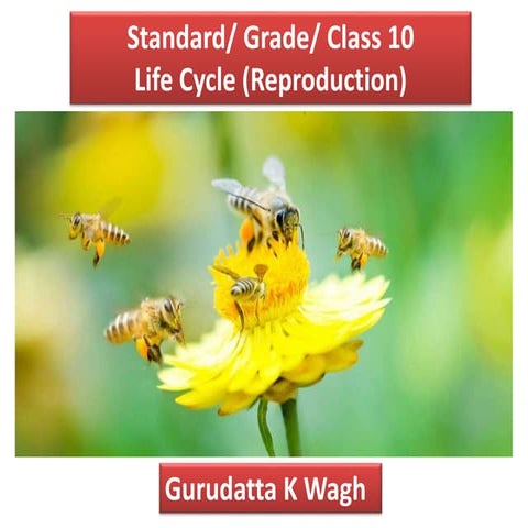 Std10 Ch12-Life-cycle