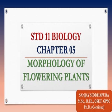 Std 11 biology chapter 05
