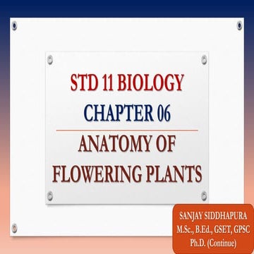 Std 11 biology chapter 06