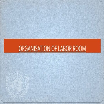 Organization of Labour Room | PPTX