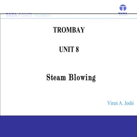 Steam blowing procedure 