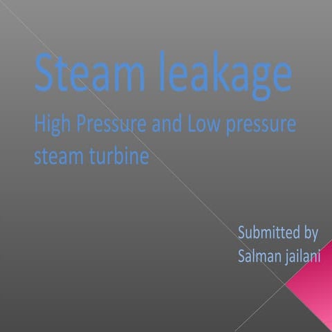 Steam leakage