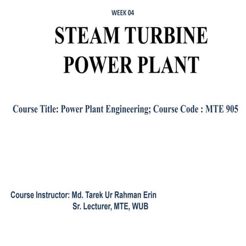 Steam turbine power plant