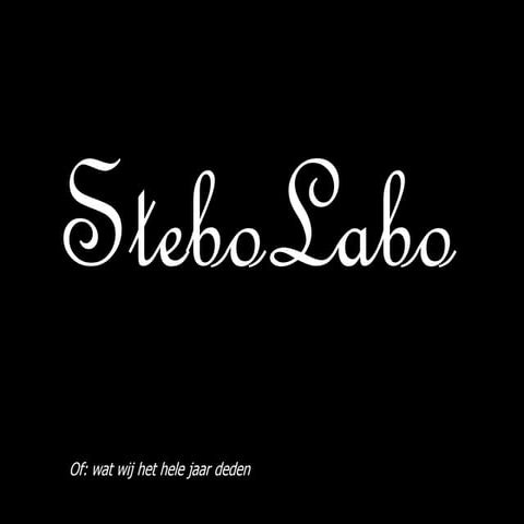 Stebo labo presentatie flow