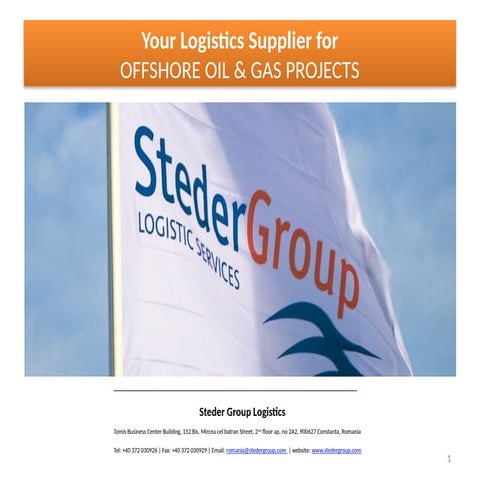 STEDER GROUP SUPPLY AND LOGISTICS SRL.pptx