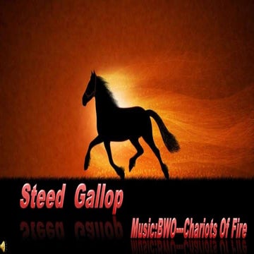 Steed  Gallop WS 16:9
