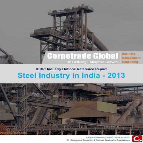 Steel industry-in-india-2013-report