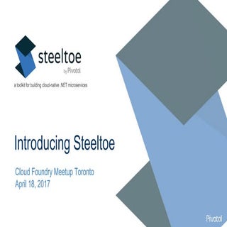 Steeltoe Meetup Toronto 4-18-2017