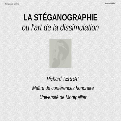 Steganographie