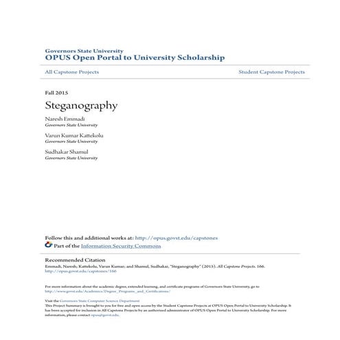 Steganography.pdf