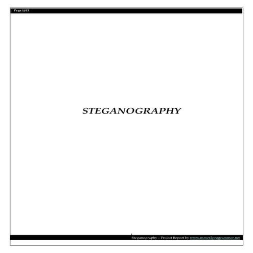 Steganography_ProjectReport.doc