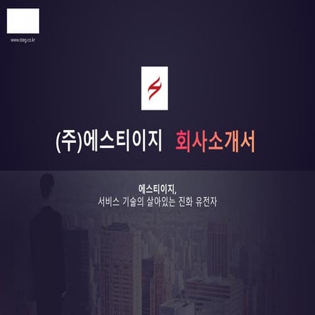 STEG Company Introduction