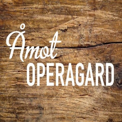 Steinar Sørli, Åmot Operagard - Vertskap som identitetsbygger