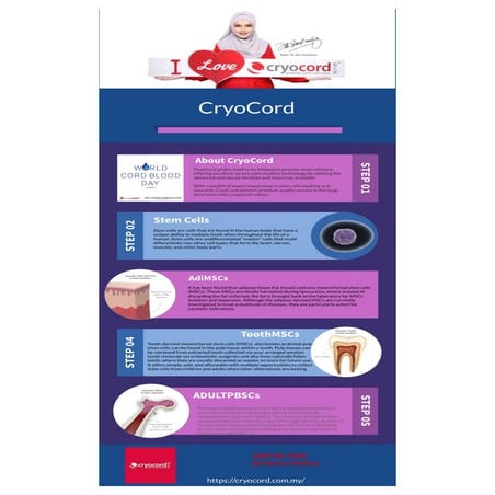 Umbilical Cord Stem Cells | PDF