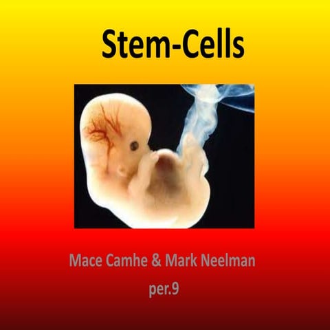 Stem cells