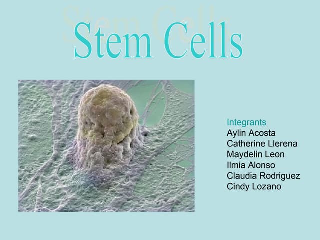 Stem  Cells
