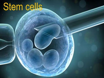 Stem cells