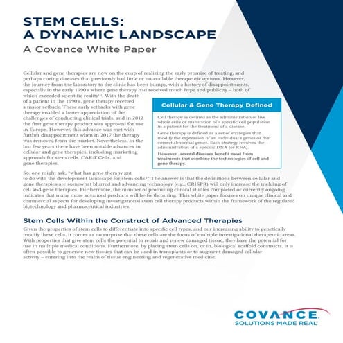 Stem Cells: A Dynamic Landscape