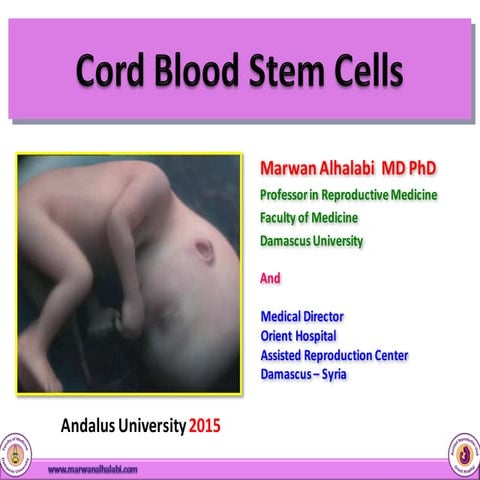 Cord Blood Stem Cells