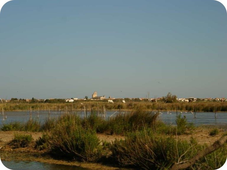 Ste marie de la mer