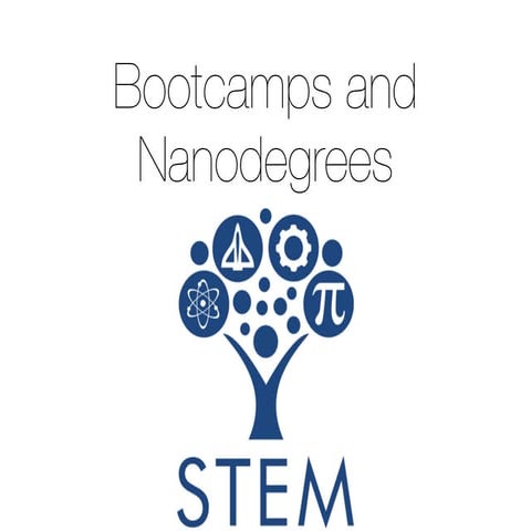Stem Bootcamps and Nanodegrees | PDF