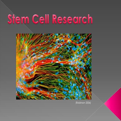 Stem cell