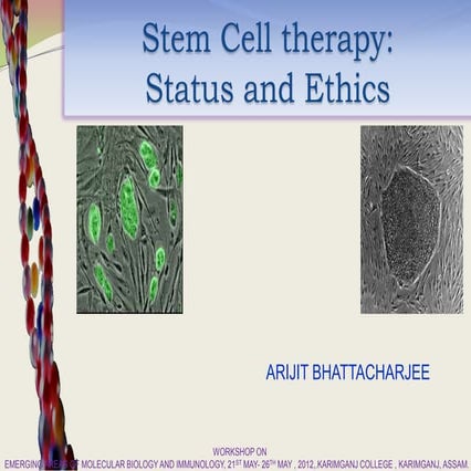 Stem cell