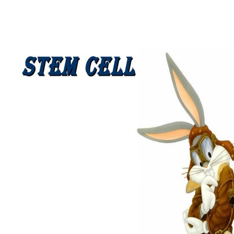 Stem Cells