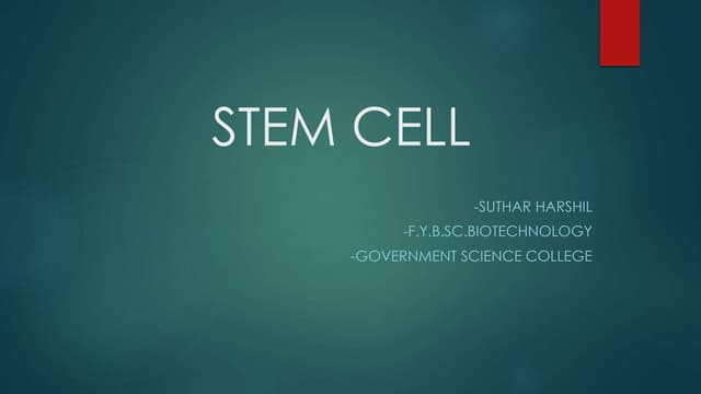 Stem cell