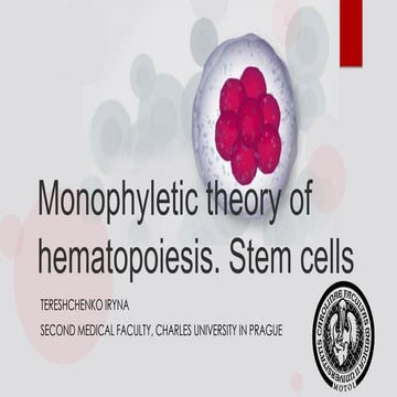 Monophyletic theory of hematopoiesis. Stem cells.