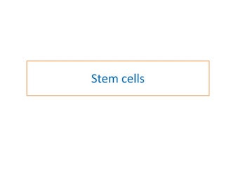 Stem cell.pdf