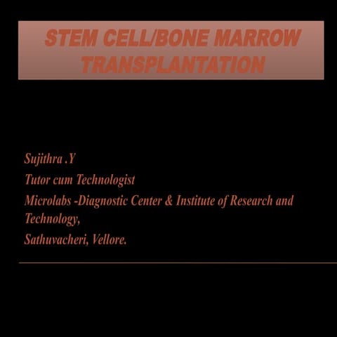 STEM CELL / BONE MARROW TYPES PROCESS TRANSPLANTATION AND TREATMENT