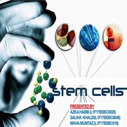 Stem cell and health science | PPTX